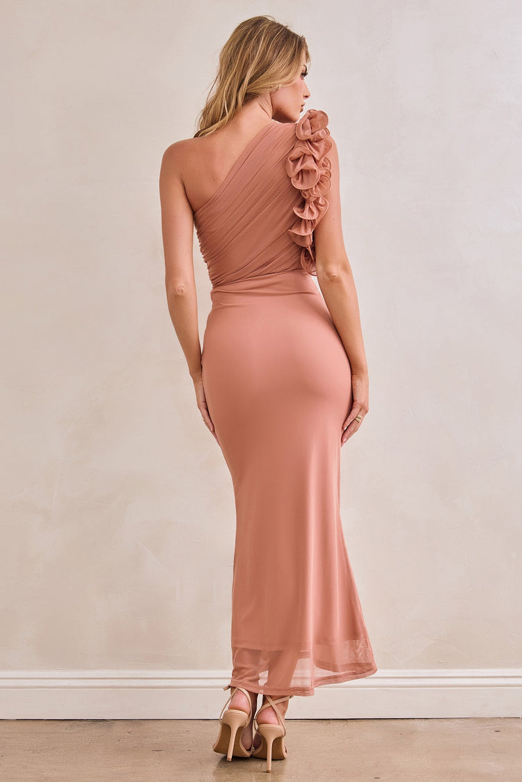 Golden Feelings Mesh Maxi Dress - Blush