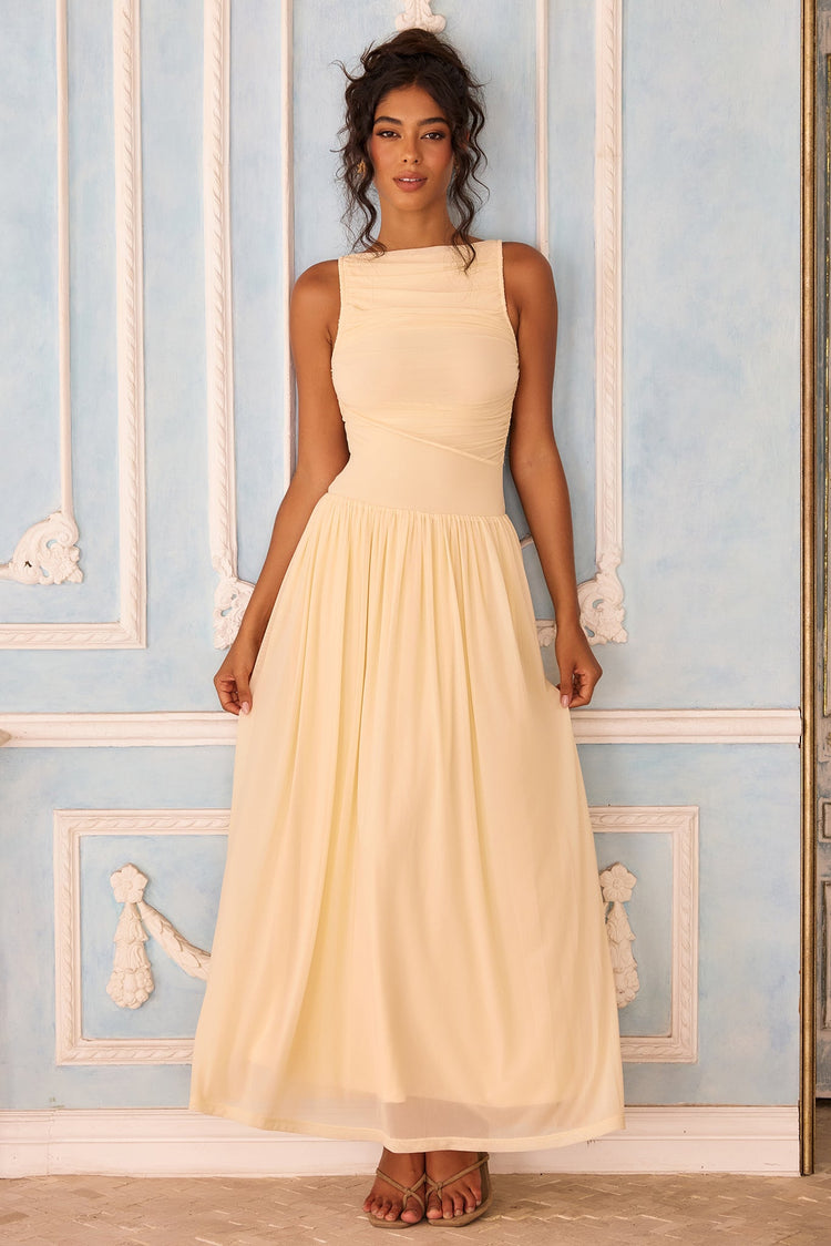 Painters Garden Mesh Maxi Dress - Ivory
