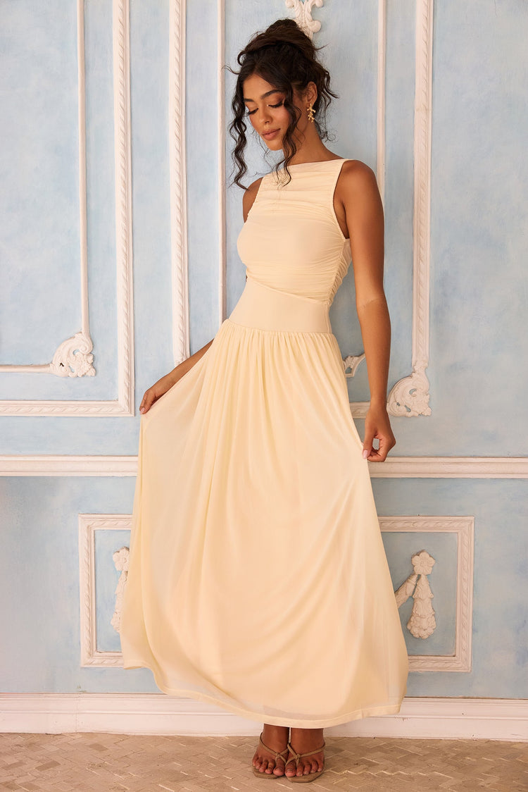 Painters Garden Mesh Maxi Dress - Ivory
