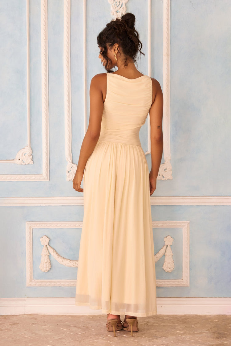 Painters Garden Mesh Maxi Dress - Ivory