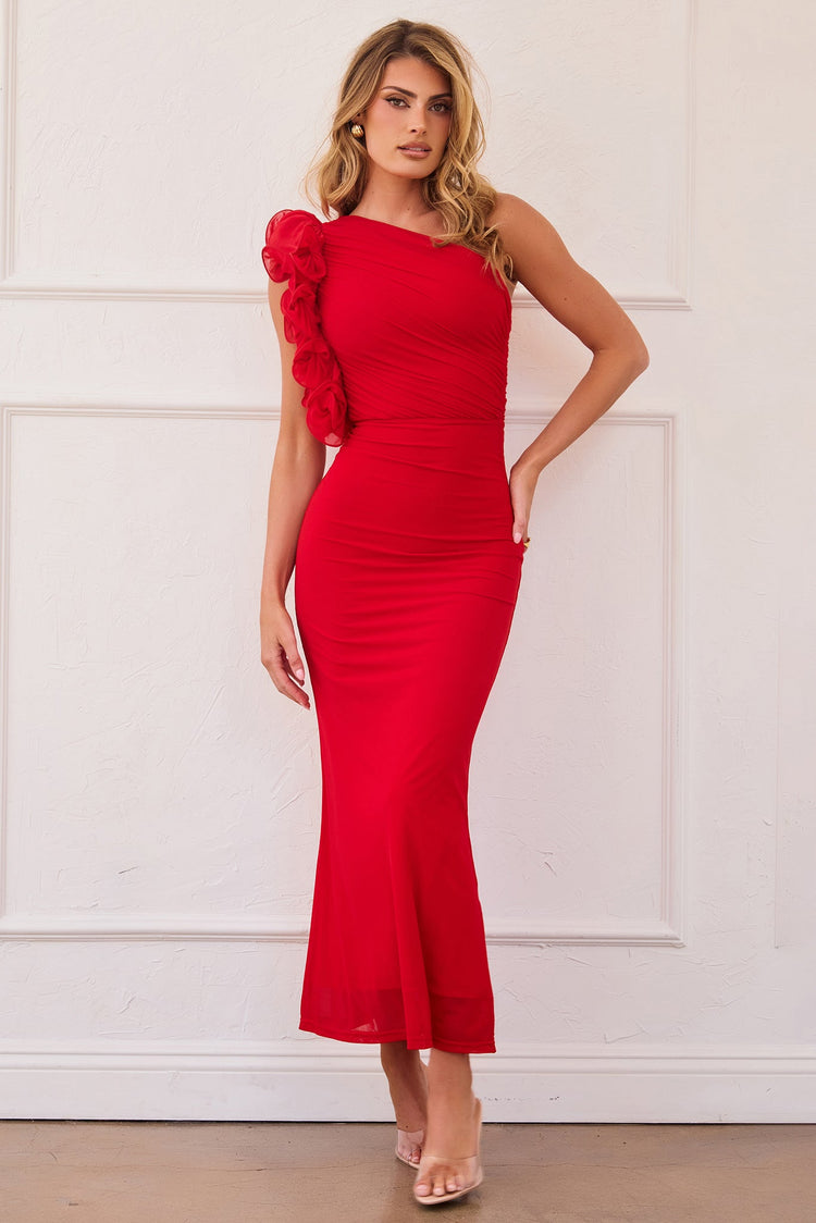 Golden Feelings Mesh Maxi Dress - Red