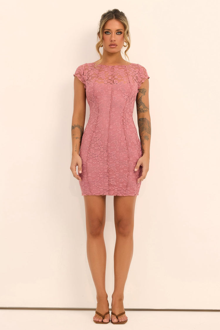 Lucienne Lace Mini Dress - Blush