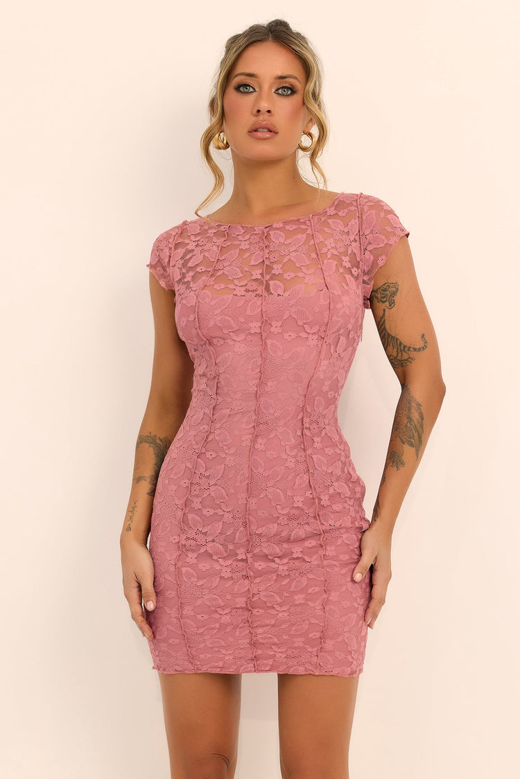 Lucienne Lace Mini Dress - Blush
